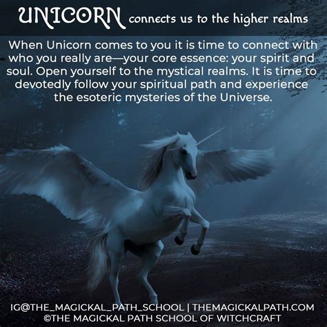 The mgic of the unicorn